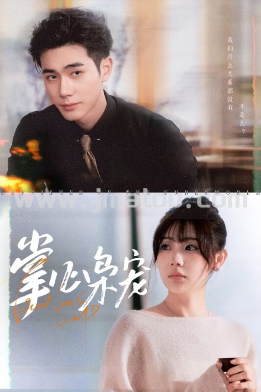 《掌心枭宠》100集全上线｜枭雄×宠妃 权谋虐恋大爆发！-金码头影视站