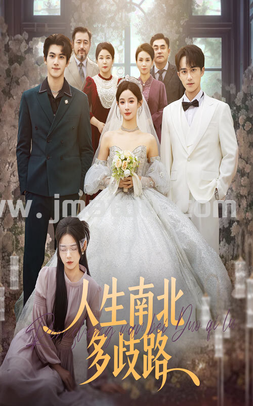 《人生南北多歧路》:新婚夜遭背叛?大小姐直接换夫上演完美逆袭!-金码头影视站